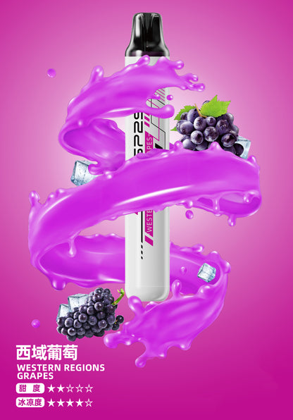 SP2S 拋棄式一次性5000口【免充電款】